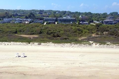 A Herd Of Sheep Standing On Top Of A Sandy Beach